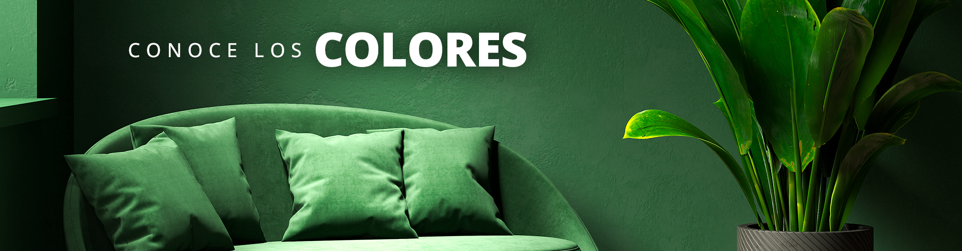 Consejos de color por expertosr