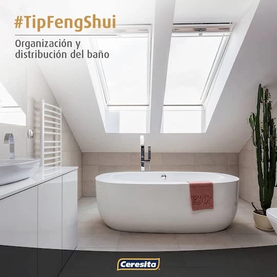 TIP FENGSHUI ORGANIZACIÓN Y DISTRIBUCIÓN DEL BAÑO