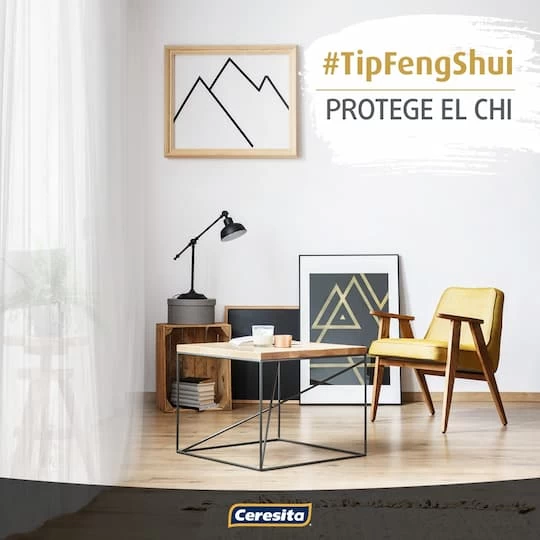 TIP FENGSHUI - PROTEGE EL CHI