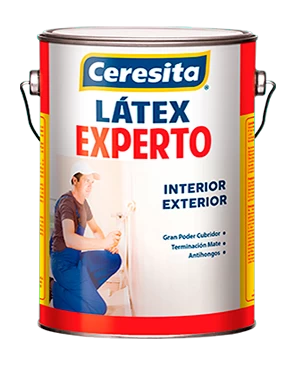 LÁTEX EXPERTO