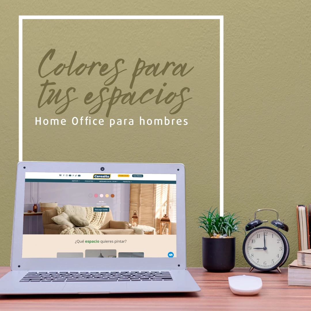 COLORES PARA TUS ESPACIOS: HOME OFFICE PARA HOMBRES