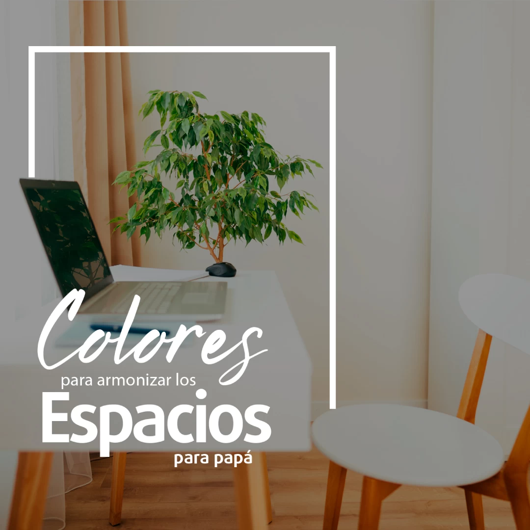 LA ENERGÍA DEL COLOR PARA NUESTROS PAPÁS