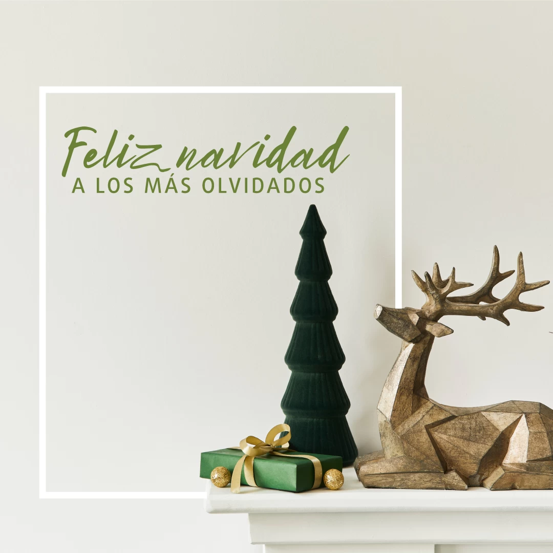 FELIZ NAVIDAD A LOS MÁS OLVIDADOS