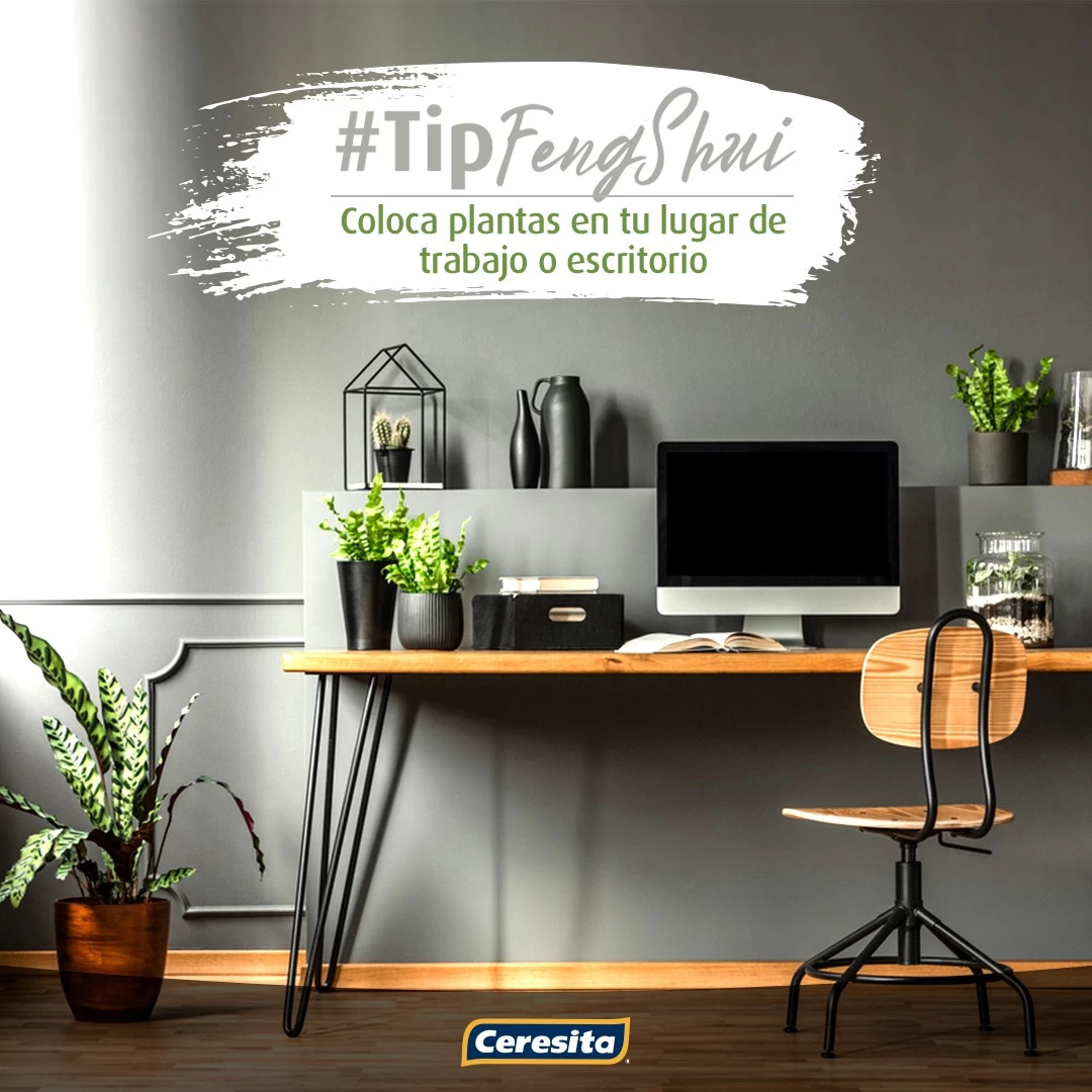 Coloca plantas en tu lugar de trabajo o escritorio